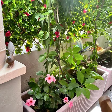 Hotel Eden - La Baigneuse Juan-les-Pins